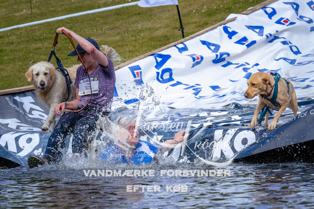 _ZZ994261054 | kk-dogfotos