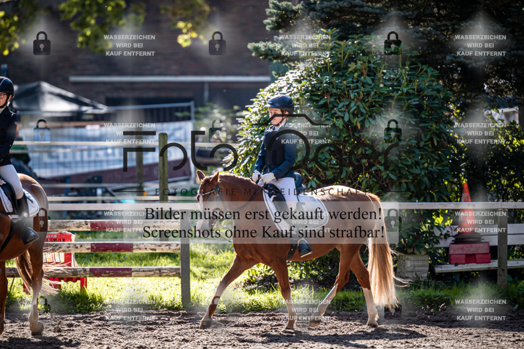 2026-10-Helle-20-4-0013 | Entdecke hochwertige Reitturnierfotos von Foto Oger. Professionell, emotional und authentisch – jetzt Lieblingsmomente im Shop bestellen.Deutschlandweite Turnierfotografie. - Realisiert mit Pictrs.com