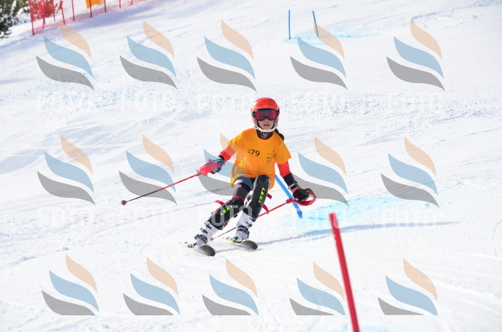 C7974 | holidayphoto