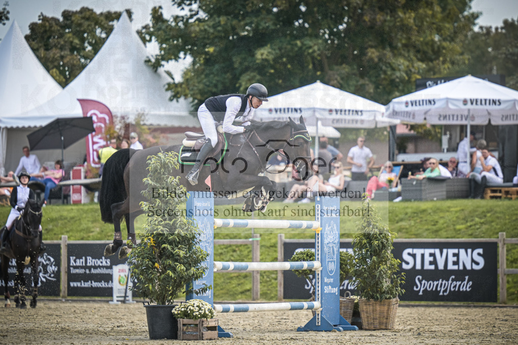DOS_1076 | Entdecke hochwertige Reitturnierfotos von Foto Oger. Professionell, emotional und authentisch – jetzt Lieblingsmomente im Shop bestellen.Deutschlandweite Turnierfotografie. - Realisiert mit Pictrs.com