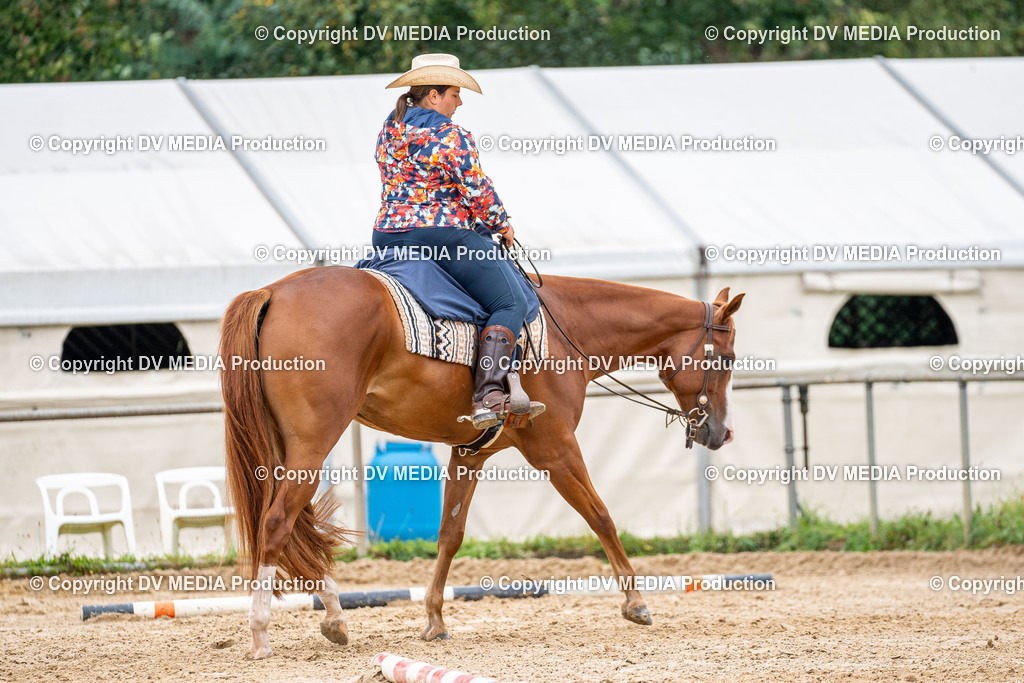 LM Heiligenwald Tag 3-978 | dv-media-shop - Realisiert mit Pictrs.com