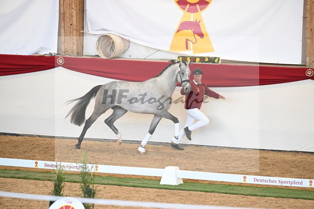 Kat.-Nr. 72 v. Johnson_Lehner_2250606 | hf-fotografie - Realisiert mit Pictrs.com
