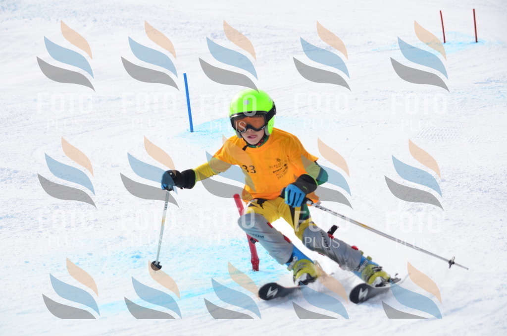 C8329 | holidayphoto