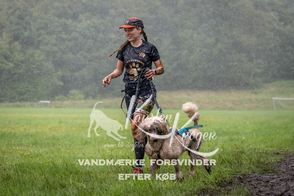 0936_ZZ91446-Bearbeitet | kk-dogfotos