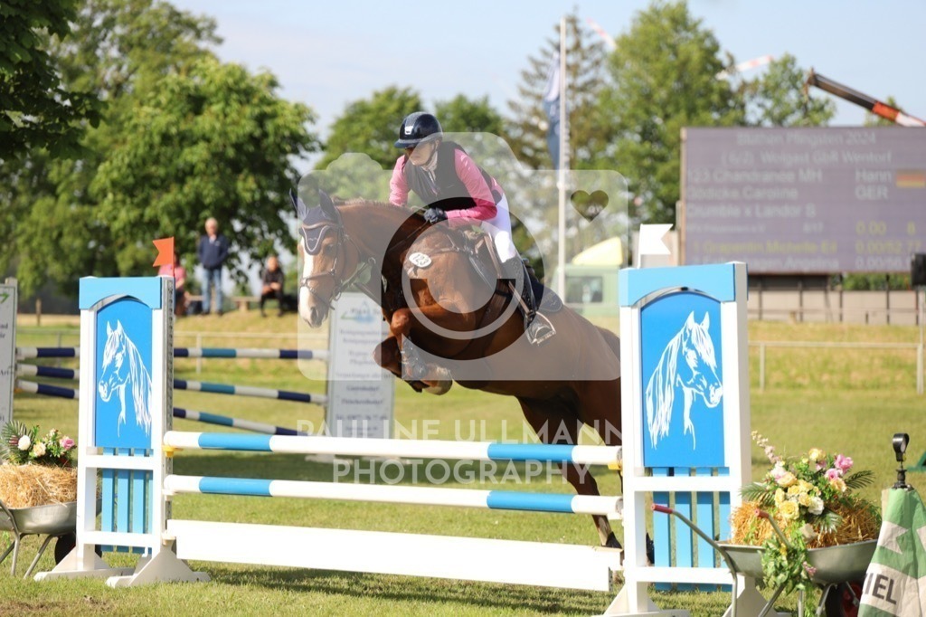 IMG_6929 | Pauline Ullmann Photography - Realisiert mit Pictrs.com