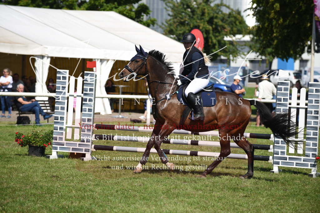 DSC_9384 | Pferde- und Turnierfotografie in Westsachsen. Pferdeportraits, Auftragszeichnungen und intuitive Kunst.