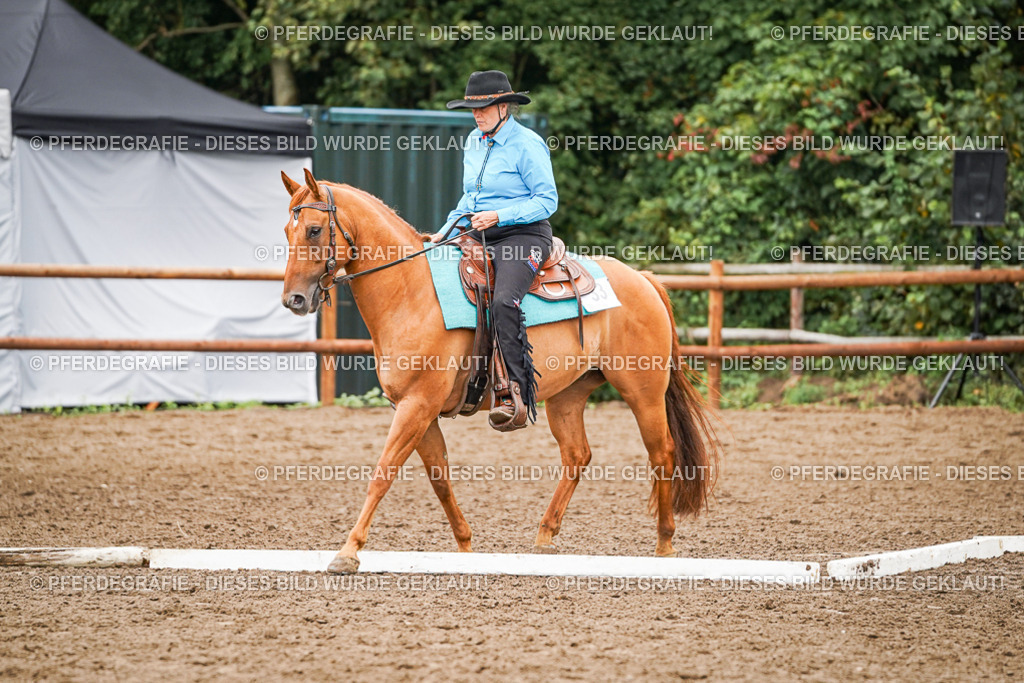 DSC03397 | Pferdegrafie