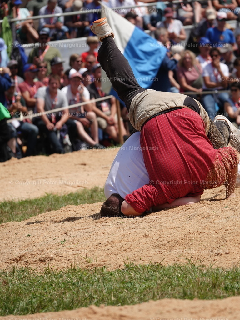 DSC04996 | Schwingen - Realisiert mit Pictrs.com