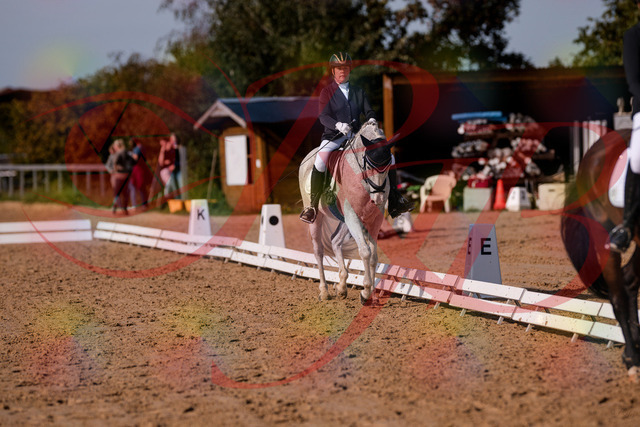 2026_10_03_Siefer-Hof_122837_Z81_27594900 | Professionelle Reitsport-, Turnier- und Eventfotografie von Robert Broda. Galerien mit ausgewählten und bearbeiteten Bildern direkt online ansehen und bestellen.