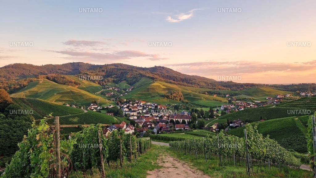 Blick auf Durbach | untamo - Realisiert mit Pictrs.com