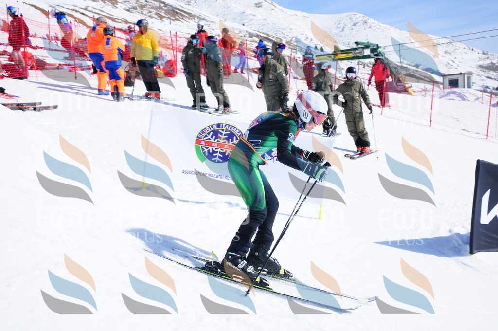 DSC_5077 | holidayphoto