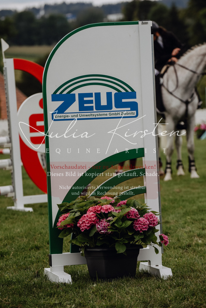 DSC_3877 | Pferde- und Turnierfotografie in Westsachsen. Pferdeportraits, Auftragszeichnungen und intuitive Kunst.