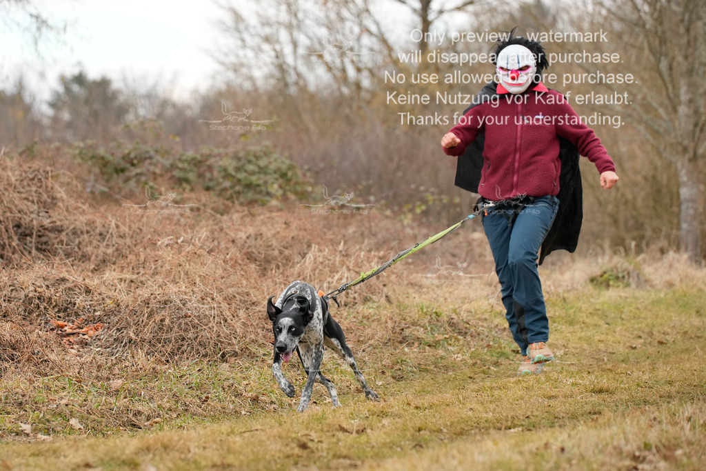 3Fasching-2 | stephaniefillaphotographie - Realisiert mit Pictrs.com
