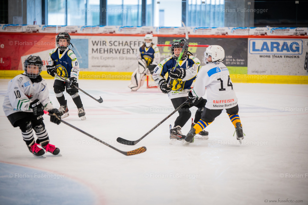 DSC_2175 | "Fussifoto.com – Ihr Ansprechpartner für hochwertige Fotografie! Entdecken Sie kreative Bilder und professionelle Dienstleistungen. Kontaktieren Sie uns für Ihre Projekte!"