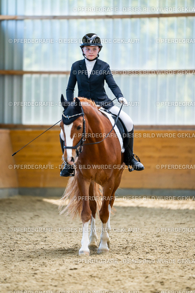 DSC05453 | Pferdegrafie