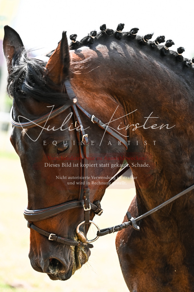 DSC_8899 | Pferde- und Turnierfotografie in Westsachsen. Pferdeportraits, Auftragszeichnungen und intuitive Kunst.