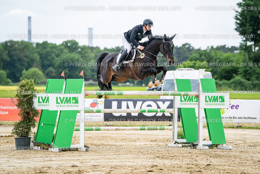 DSC07100 | Pferdegrafie