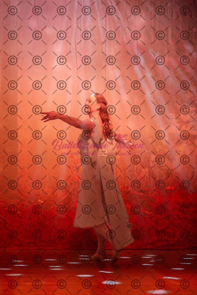 Ballettaufführung-1818 | Bildershop Lem'n Entertainment - Realisiert mit Pictrs.com