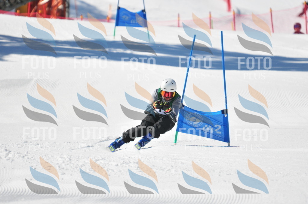 C3393 | holidayphoto