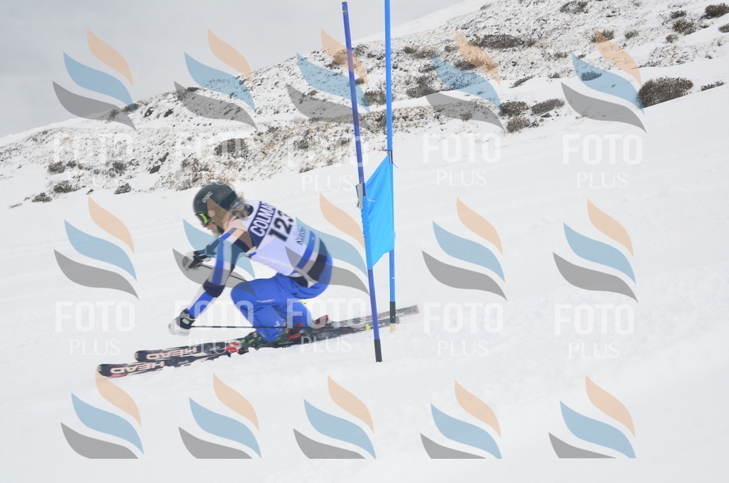 A6024 | holidayphoto