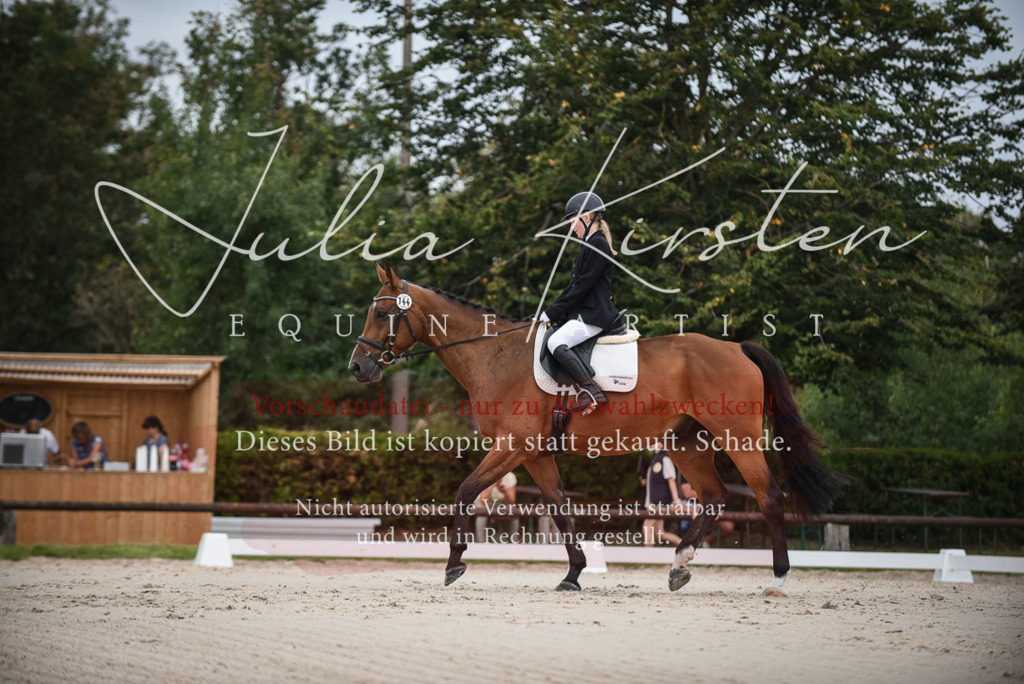 DSC_8008 | Pferde- und Turnierfotografie in Westsachsen. Pferdeportraits, Auftragszeichnungen und intuitive Kunst.