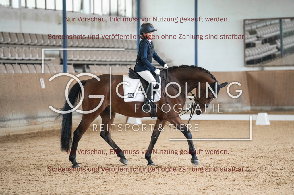 DSC01739 | Reitturnier_Göppingen_April_2026, Leila_Scharpf, Tennessee_MW