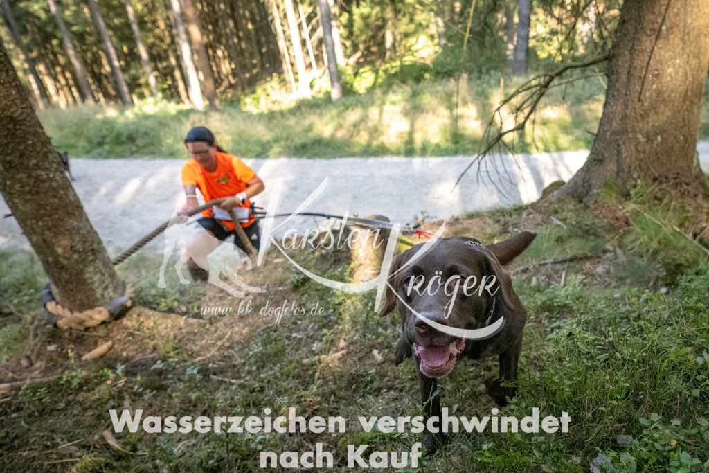 1058_ZZ93896 | kk-dogfotos