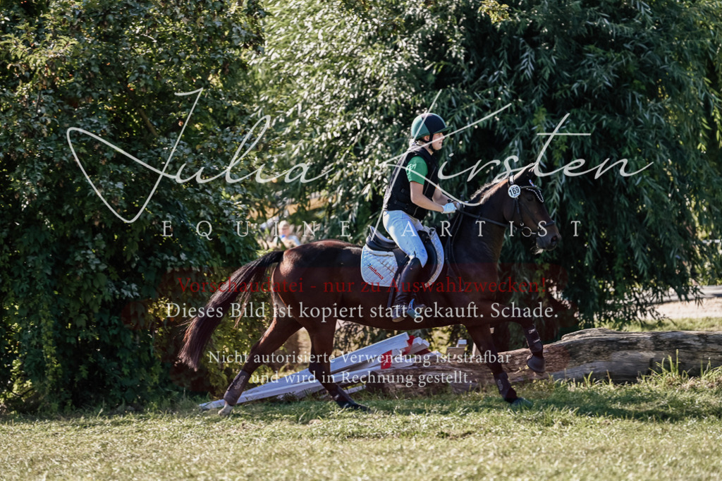 DSC_3602 | Pferde- und Turnierfotografie in Westsachsen. Pferdeportraits, Auftragszeichnungen und intuitive Kunst.