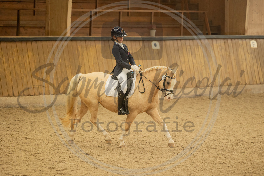 994A4524 | sabrinanicolaifotografie - Realisiert mit Pictrs.com