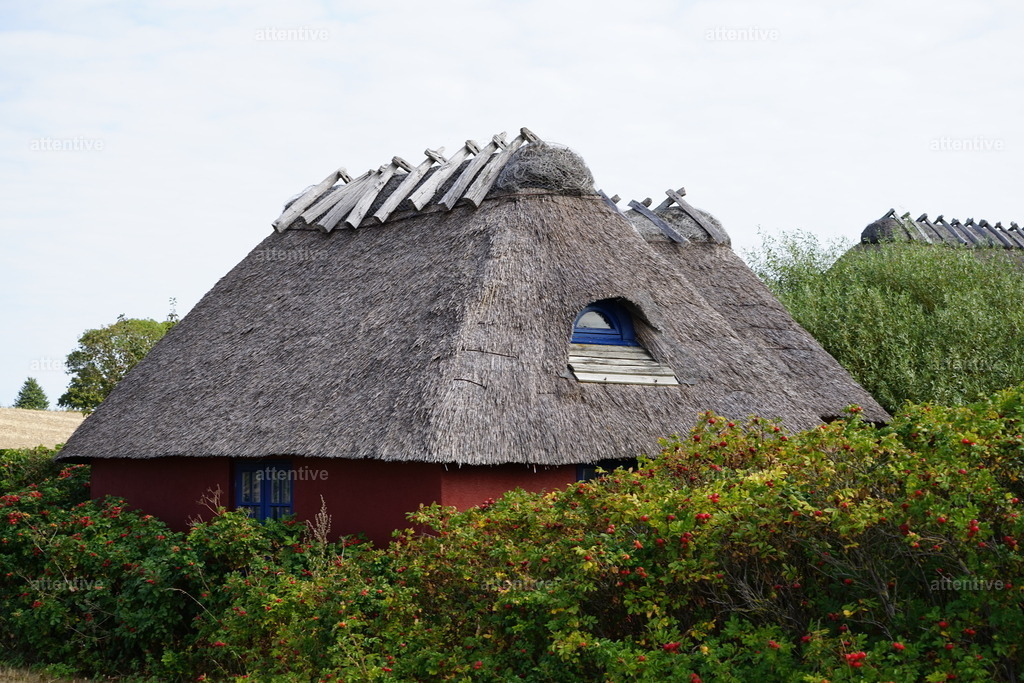 Red | Dänemark, Kegnæs - Realisiert mit Pictrs.com