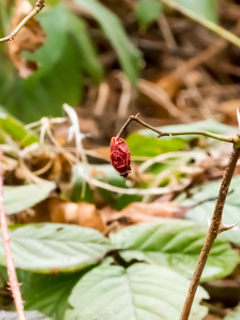 PSX_20230228_235214 | mtkfoto_ - Realisiert mit Pictrs.com