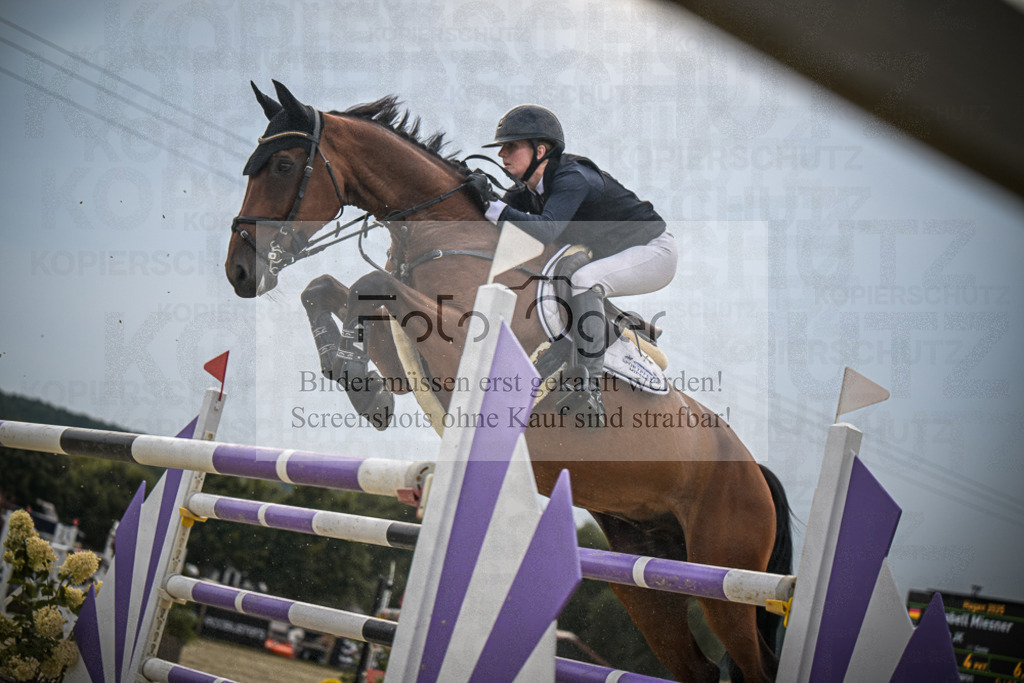 DOS_1996 | Entdecke hochwertige Reitturnierfotos von Foto Oger. Professionell, emotional und authentisch – jetzt Lieblingsmomente im Shop bestellen.Deutschlandweite Turnierfotografie. - Realisiert mit Pictrs.com