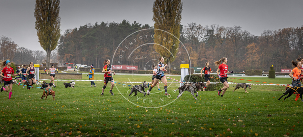 CaniXpix_DV3A8820 | Hundefotografie, Tierfotograf, Pfotenfotografie, Fotoshooting Hund, Hunde Portrait, Hundesport, Hundeportraits, Heideshooting, Hunde, Sportfotograf, Hundefotograf, Turnierhundsport, THS,  - Realisiert mit Pictrs.com