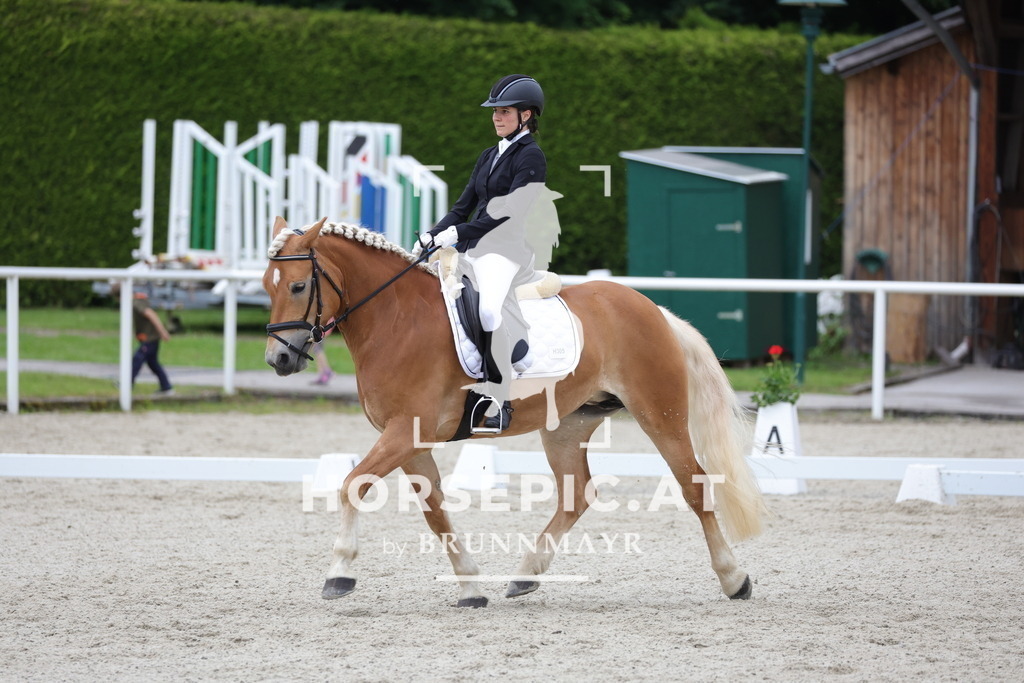 0P6A5231 | Willkommen bei Brunnmayr - Design & Fotografie – Ihrem Spezialisten für Reitturniere und Pferdeveranstaltungen in Oberösterreich, Salzburg und Bayern! Seit über 17 Jahren sind wir leidenschaftlich dabei.
