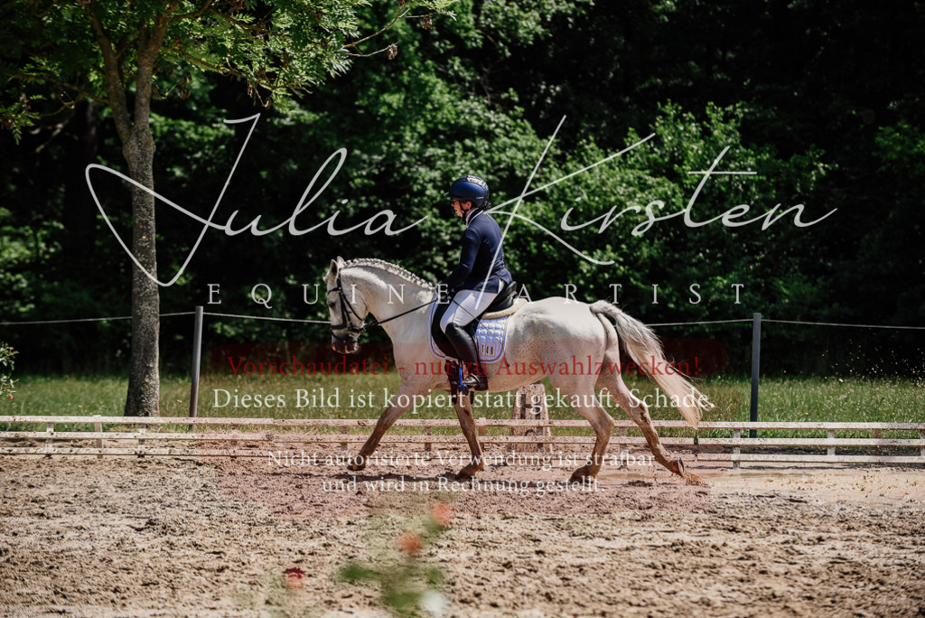 DSC_1834 | Pferde- und Turnierfotografie in Westsachsen. Pferdeportraits, Auftragszeichnungen und intuitive Kunst.