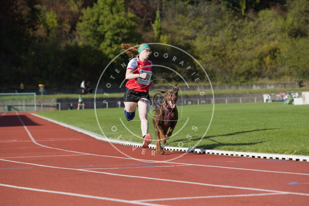 0L8A9527 | Hundefotografie, Tierfotograf, Pfotenfotografie, Fotoshooting Hund, Hunde Portrait, Hundesport, Hundeportraits, Heideshooting, Hunde, Sportfotograf, Hundefotograf, Turnierhundsport, THS,  - Realisiert mit Pictrs.com