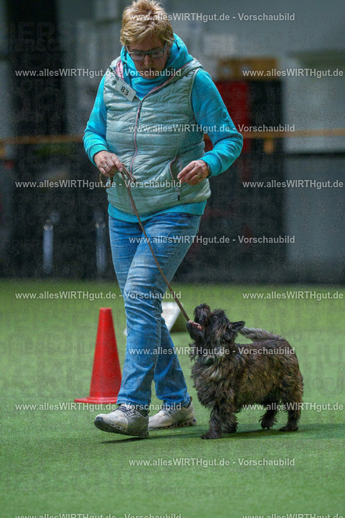 7R503256 | Professionelle Tierfotografie in Mönchengladbach von Daniel Wirth (allesWIRTHgut). Liebevolle & natürliche Bilder von Hunden & Katzen für unvergessliche Erinnerungen.