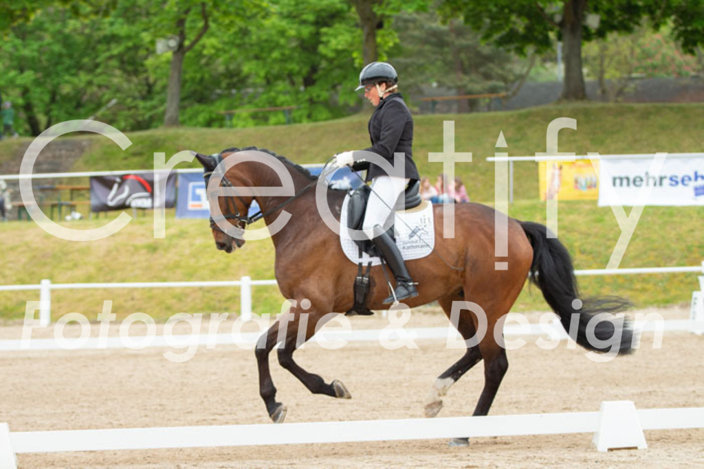 IMG_9735 | Creatify Fotografie