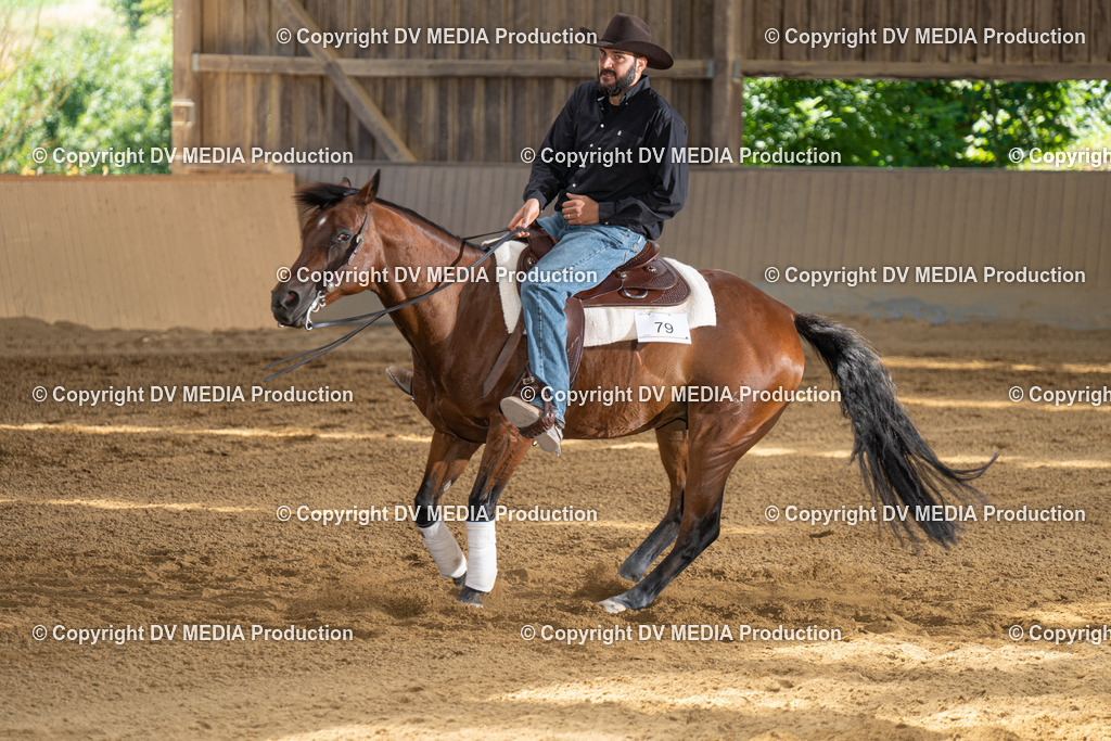 DSC00092 | dv-media-shop - Realisiert mit Pictrs.com