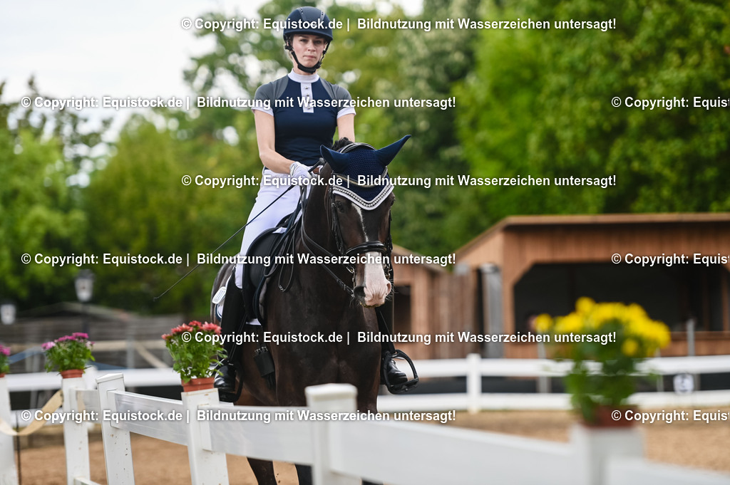 20230716_01_Dressurprüfung Kl.M_0488 | equistock