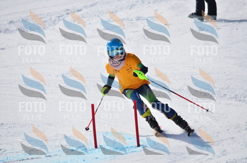 C9499 | holidayphoto