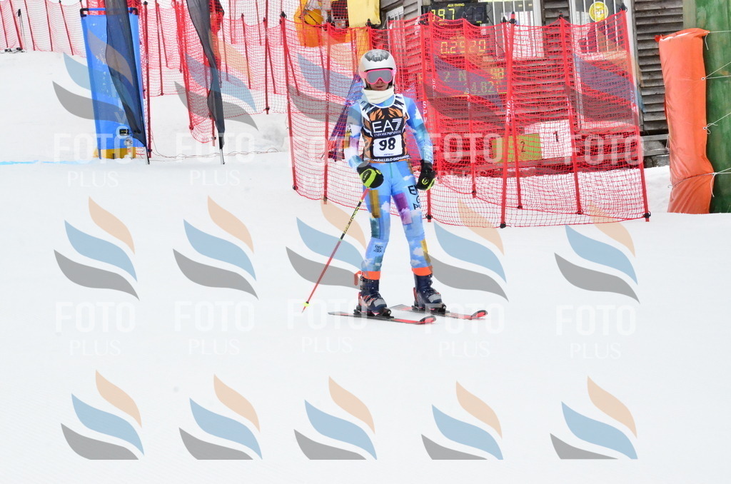 _ELE3523 | holidayphoto