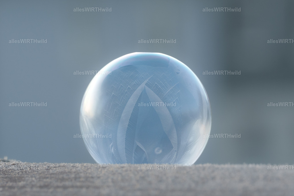 Eisbubble | Entdecke die faszinierende Welt der Natur- und Wildlife-Fotografie von Daniel und Bärbel. Inspirierende Bilder von wilden Tieren und kleinen Naturwundern.