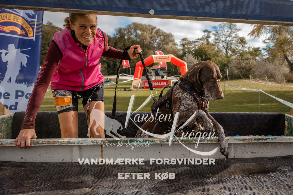 1336_ZZ91577-2 | kk-dogfotos