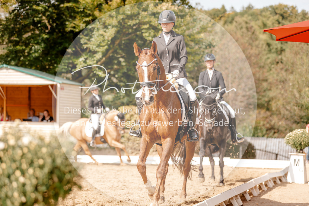 3I6A3959 | Stimmungsvolle Portraits und Reitsportfotografie im Ruhrgebiet und im Münsterland.

Pferdefotografie, Hundefotografie, Tierfotografie, Reportagen, Portraits von Tier und Mensch, Turnierfotografie in Bochum, Recklinghausen, Marl, Haltern am See, Dülmen.. - Realisiert mit Pictrs.com