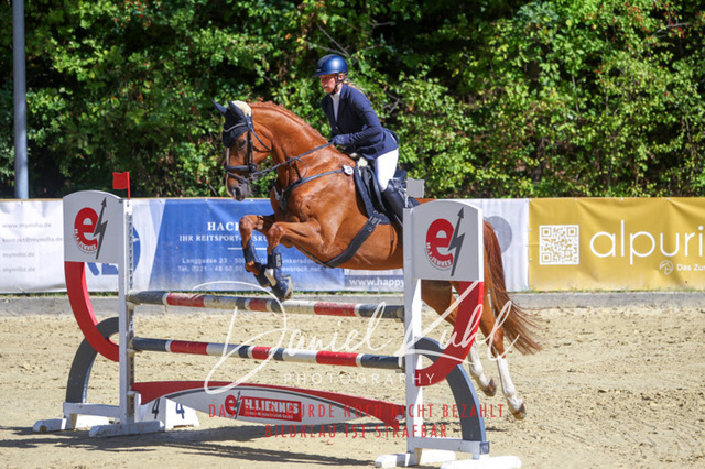 DKP43172 | Turniersportfotografie; Pferdefotografie; Dressurfotografie