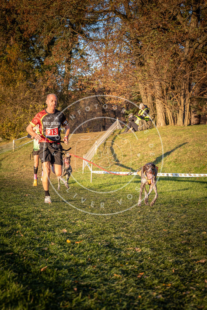 CaniXpix_0L8A1465 | Hundefotografie, Tierfotograf, Pfotenfotografie, Fotoshooting Hund, Hunde Portrait, Hundesport, Hundeportraits, Heideshooting, Hunde, Sportfotograf, Hundefotograf, Turnierhundsport, THS,  - Realisiert mit Pictrs.com