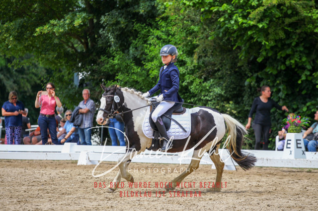DKP46295 | Turnierfotos kaufen im Webshop von Daniel Kuhl Photography – entdecke professionelle Reitsportfotos aus Turnieren & Events. Hochwertige Turnierbilder online bestellen & sichern. Jetzt Fotos von Reitsportturnieren kaufen!