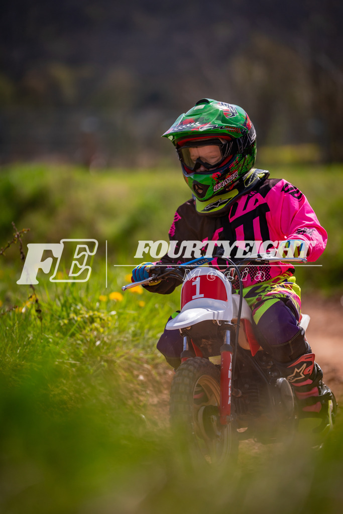 DSC02717 | fourtyeightmedia - Realisiert mit Pictrs.com