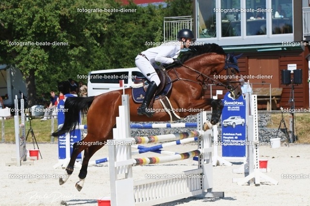 Zeit L (9) | Fotografie, Tiere, Hunde, Katzen, Pferde, Sportfotografie, Fotosession, Tierfotografie, Turnierfotografie, Fotografin, Fotograf - Realisiert mit Pictrs.com